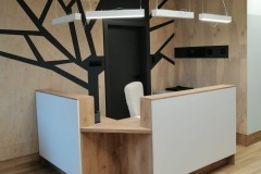 78a7c86a-4ff8-4297-bd8c-7fc316c62501-1