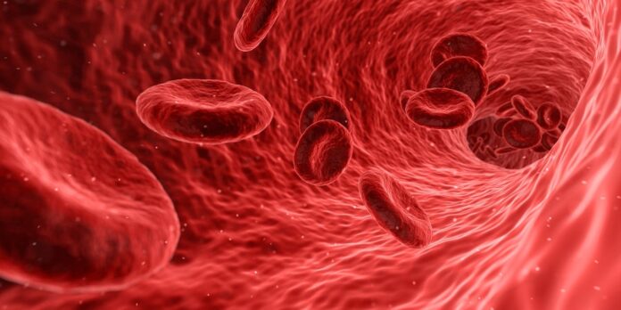Ilustracja czerwonych krwinek w żyle